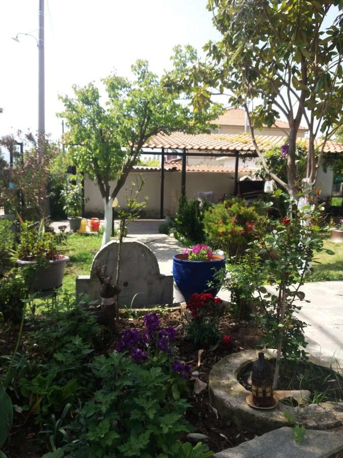 אספרובלטה Sofia'S Cottage מראה חיצוני תמונה